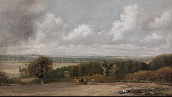 PLOUGHING SCENE IN SUFFOLK